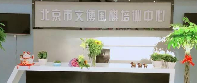 文博围棋培训中心加盟