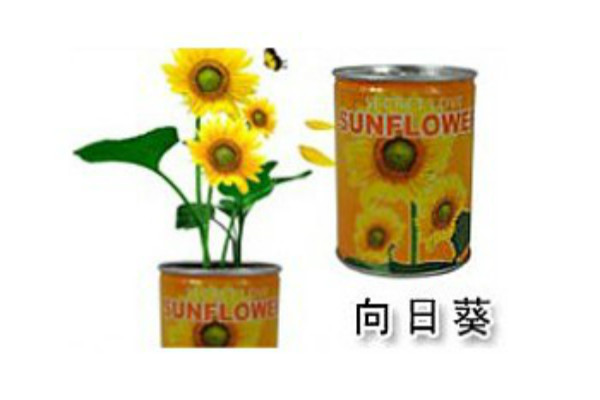 植物花草启蒙教育玩具加盟