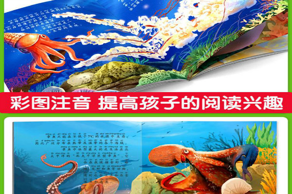 生物海洋启蒙教材玩具加盟