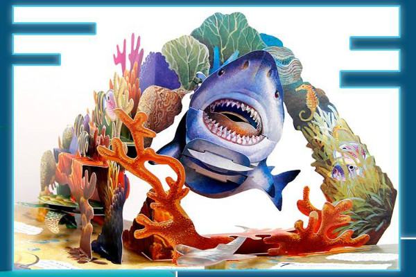 生物海洋启蒙教材玩具加盟