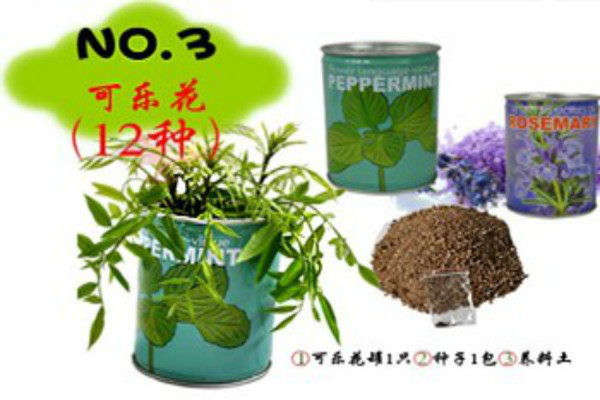 植物花草启蒙教育玩具加盟