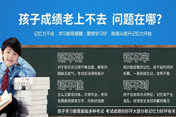最强大脑仪加盟