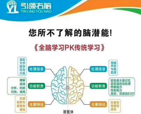 引领右脑加盟