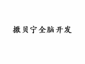 撒贝宁全脑开发