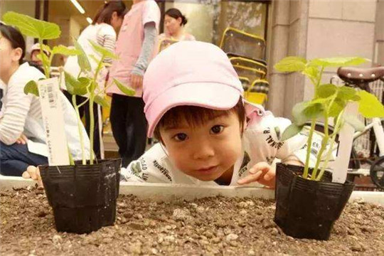 小萝卜早教中心加盟 小萝卜早教中心加盟