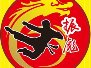 振彪武术