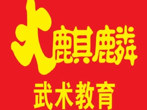 火麒麟武术教育