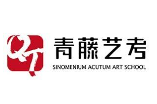 青藤艺考培训中心
