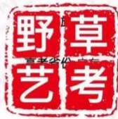 野草艺考培训中心