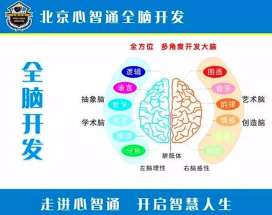 左右脑开发训练加盟