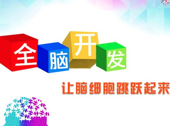 全脑开发加盟