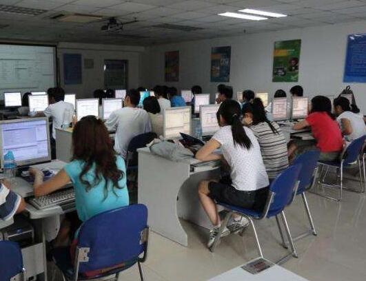 北大青鸟脑潜能开发加盟 北大青鸟脑潜能开发加盟