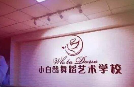 聊城小白鸽舞蹈学校加盟