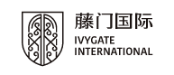 藤门国际教育