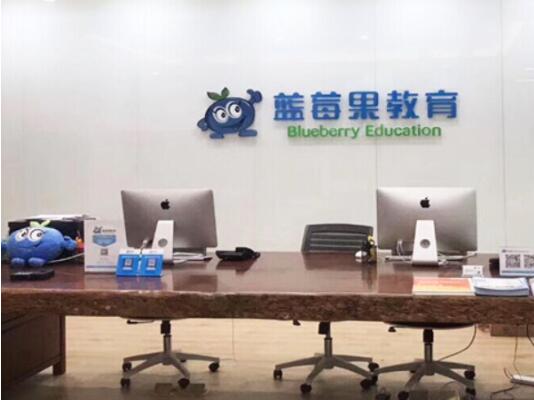 蓝莓果幼小衔接加盟