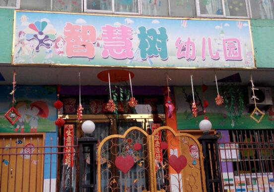 智慧树幼儿园加盟