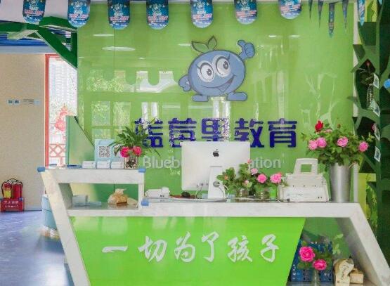 蓝莓果幼小衔接加盟
