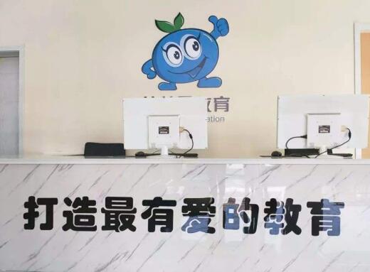 蓝莓果幼小衔接加盟