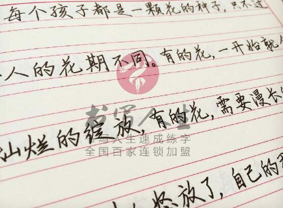 书写人生练字加盟