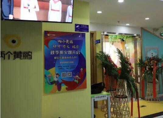 两只黄鹂少儿口才培训加盟