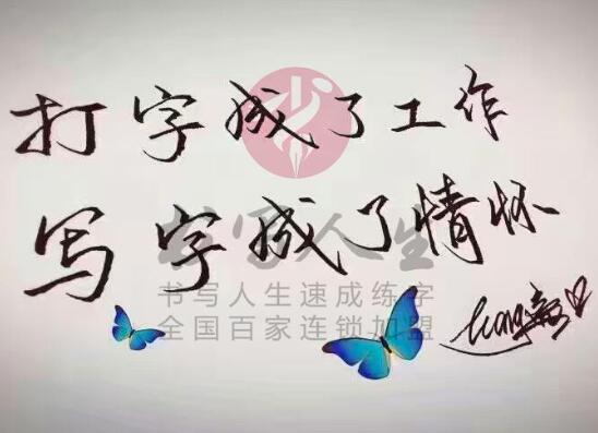 书写人生练字加盟
