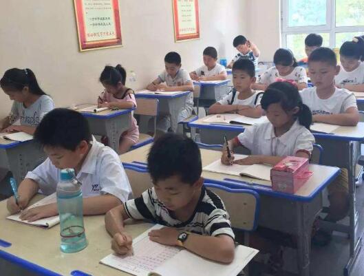 金峰练字加盟