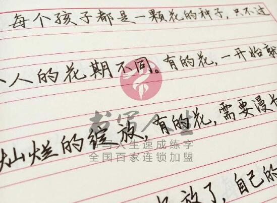 书写人生练字加盟