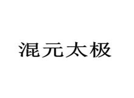 乾坤混元太极武术培训