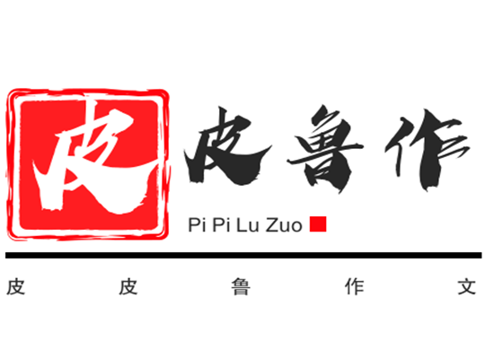 皮皮鲁作文