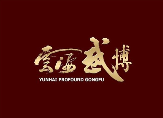 云海兴业武术培训