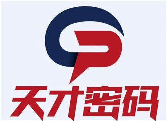 天才密码儿童教育
