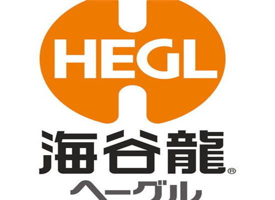 海谷龙国际早教