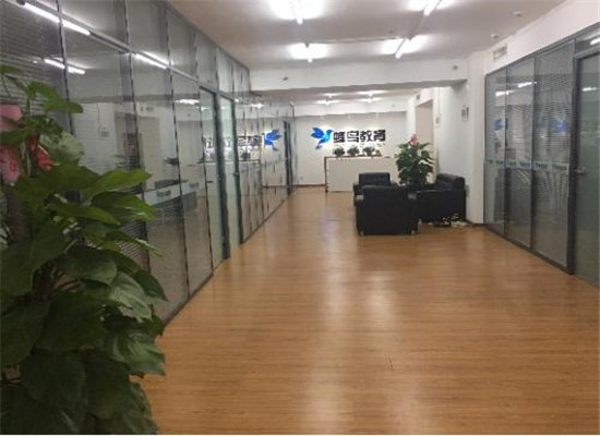 山东蜂鸟教育单词速记加盟 山东蜂鸟教育单词速记加盟