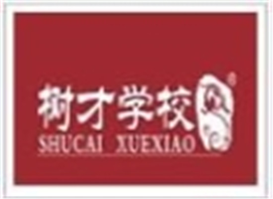 树才少儿教育