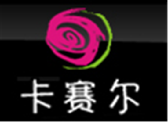 卡赛尔少儿教育
