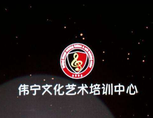 伟宁文化艺术培训