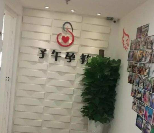 子午孕教加盟费用及优势