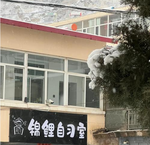 锦鲤自习室